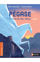 Pegase, le cheval des dieux