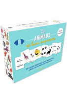 Animaux et leurs empreintes